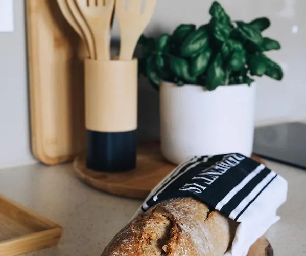 דירה Mieszka I *